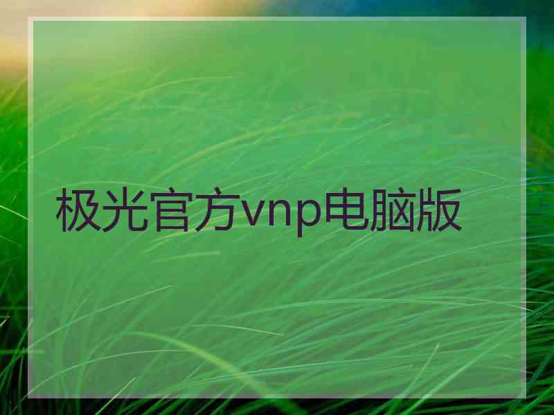 极光官方vnp电脑版