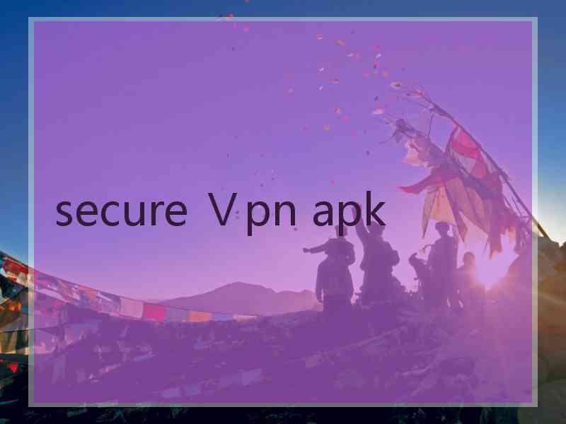 secure Ⅴpn apk