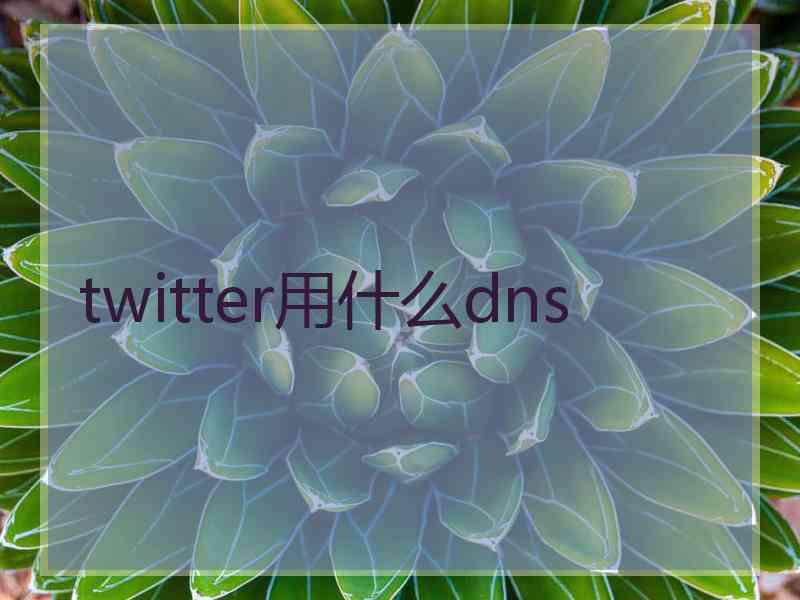 twitter用什么dns