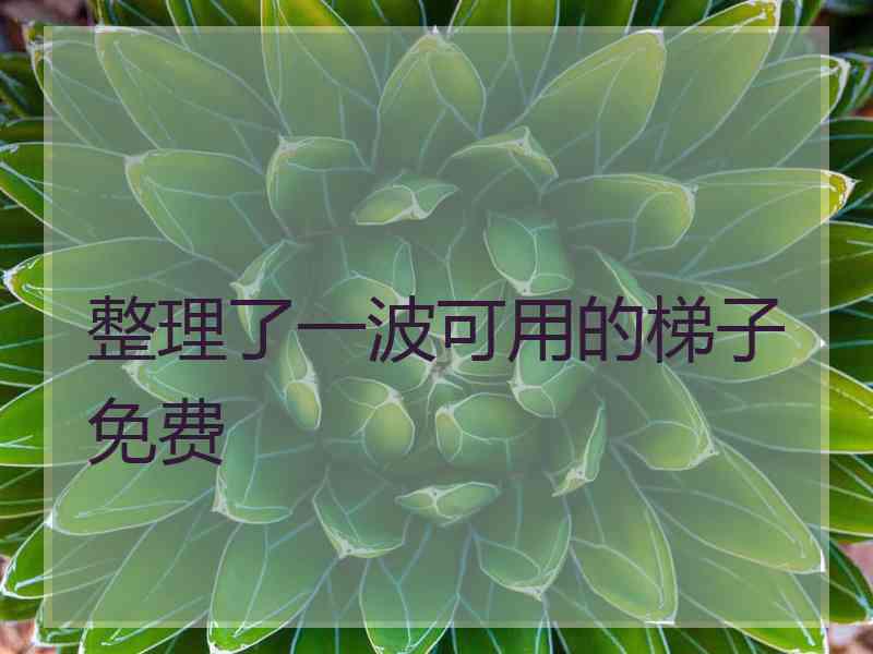 整理了一波可用的梯子免费