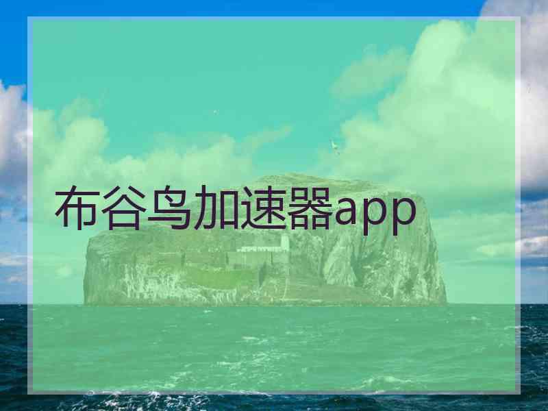 布谷鸟加速器app