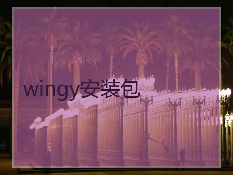 wingy安装包