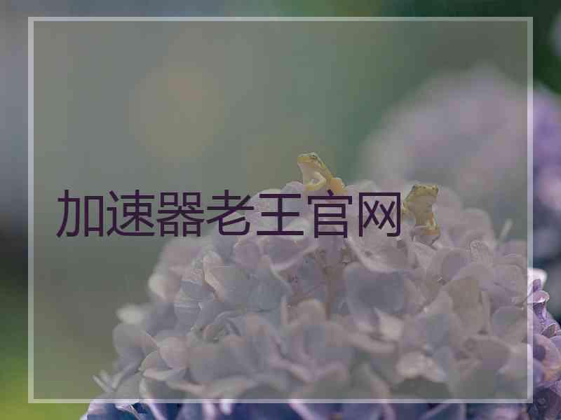 加速器老王官网