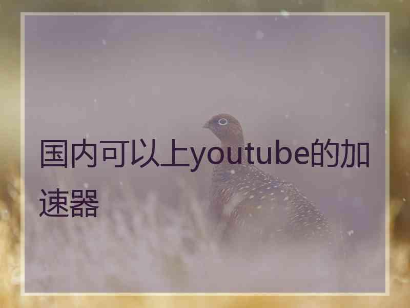 国内可以上youtube的加速器