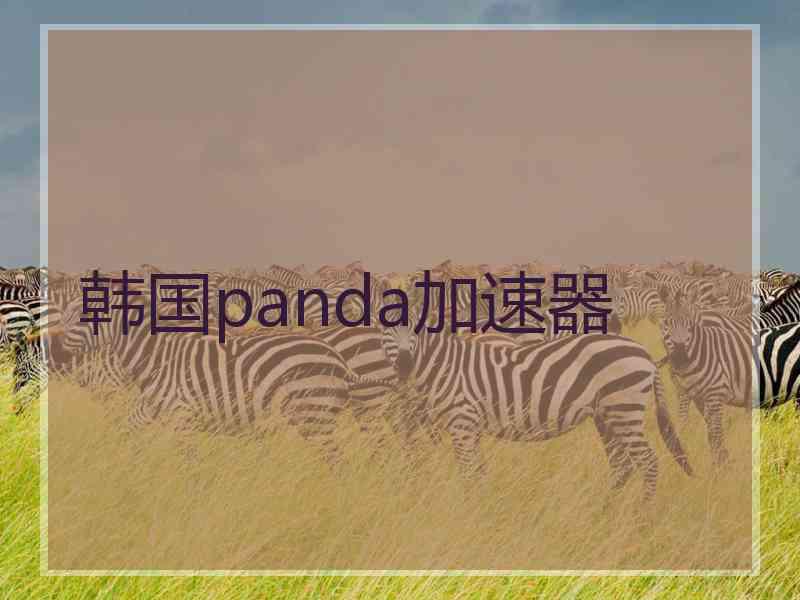 韩国panda加速器