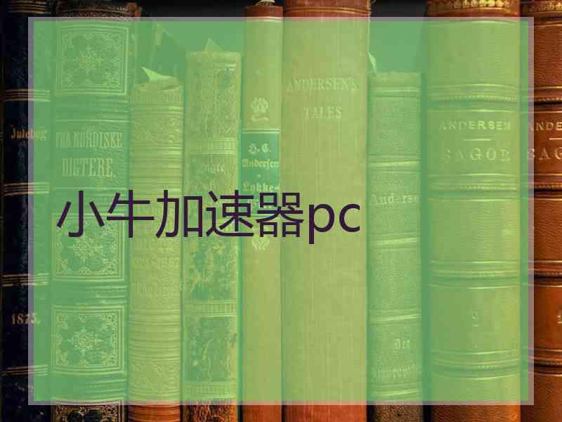 小牛加速器pc