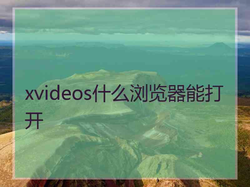 xvideos什么浏览器能打开