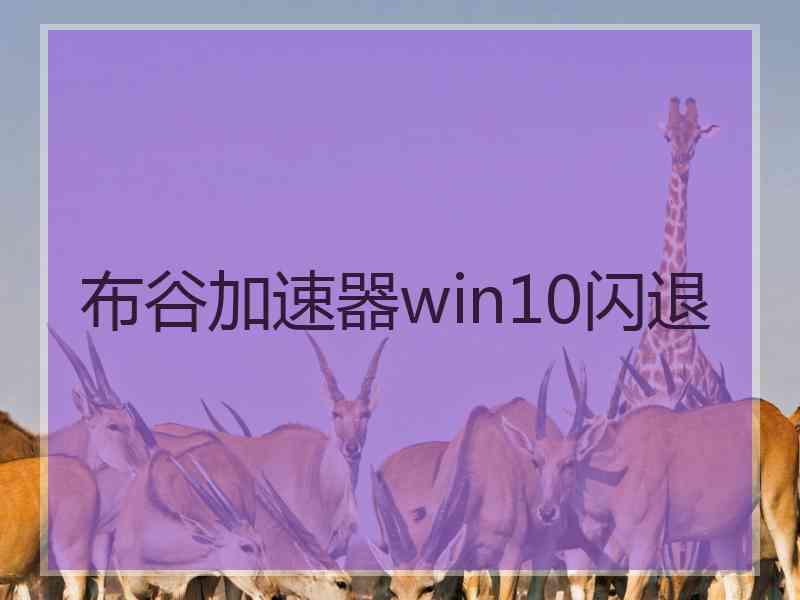 布谷加速器win10闪退