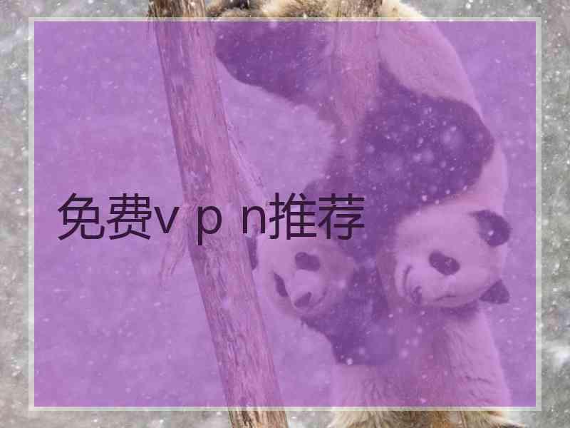 免费v p n推荐