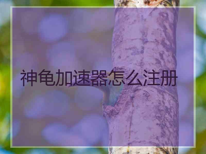 神龟加速器怎么注册