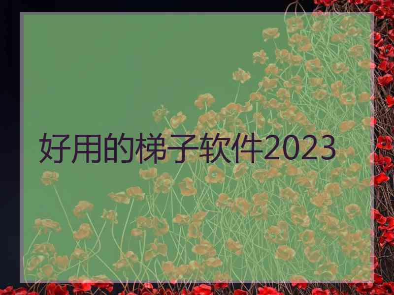 好用的梯子软件2023