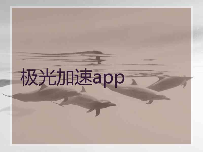 极光加速app