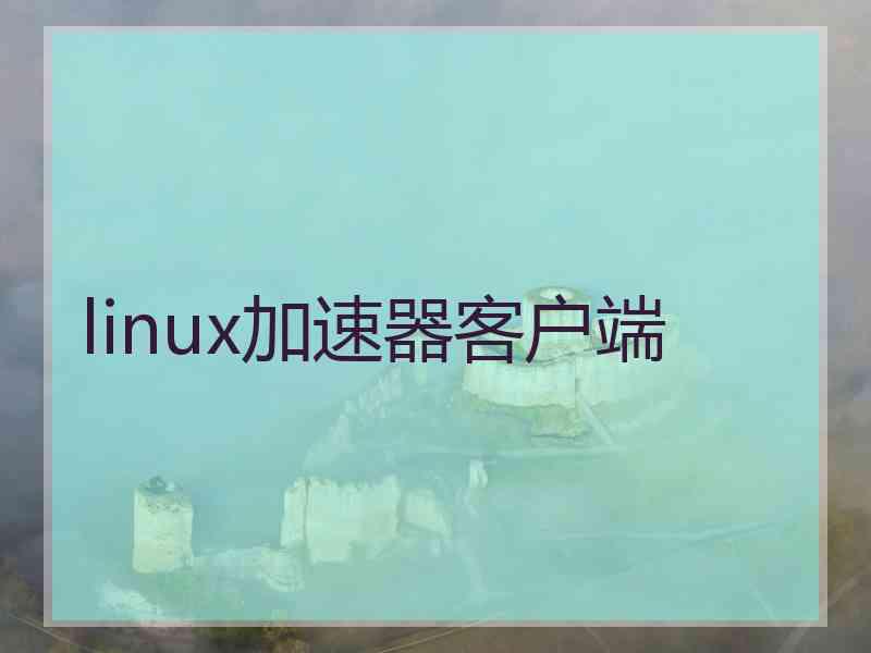 linux加速器客户端