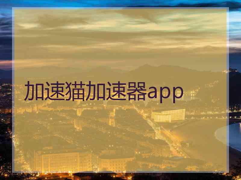 加速猫加速器app