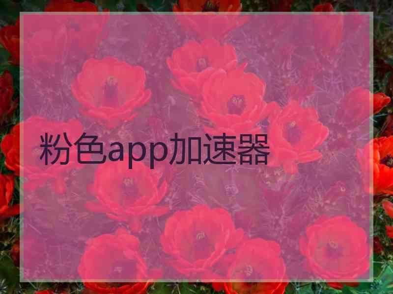 粉色app加速器