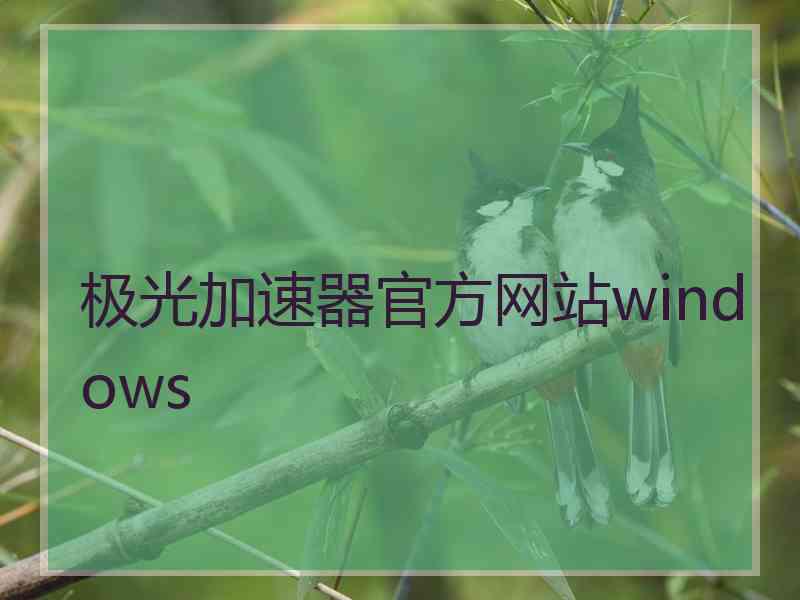 极光加速器官方网站windows