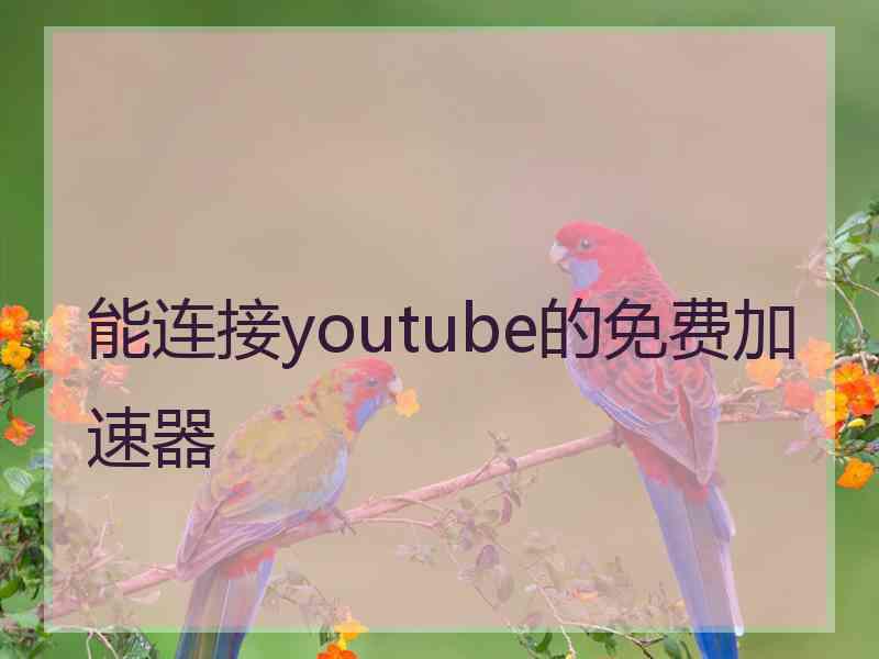 能连接youtube的免费加速器