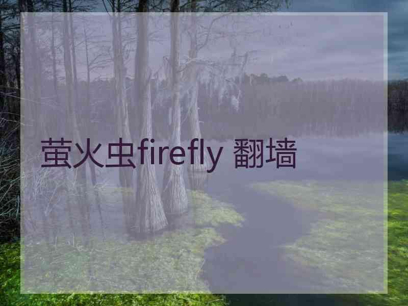 萤火虫firefly 翻墙