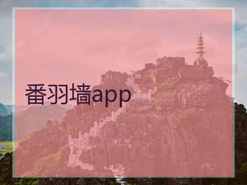 番羽墙app