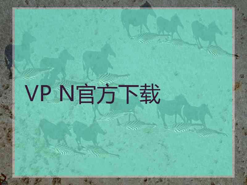 VP N官方下载