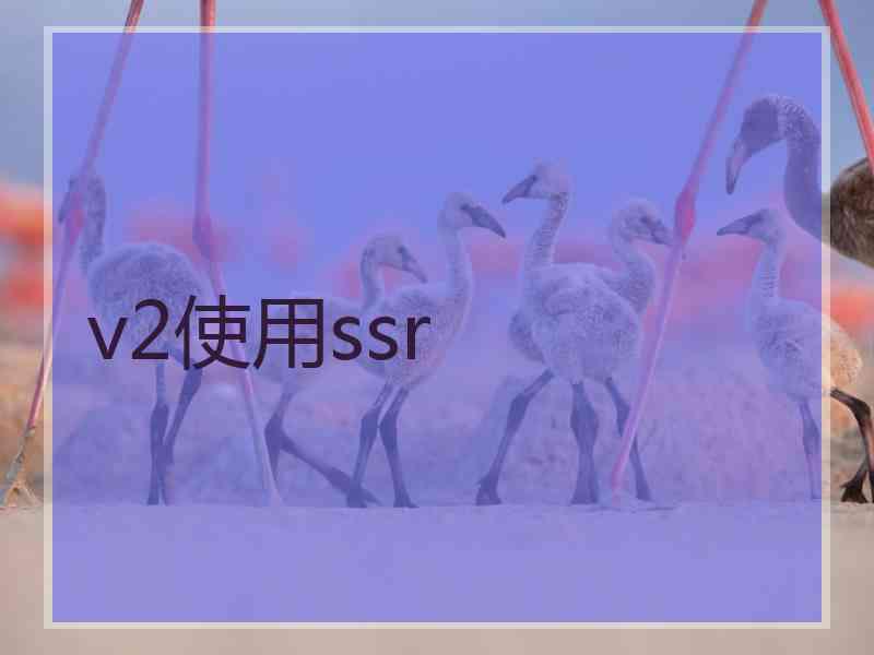 v2使用ssr