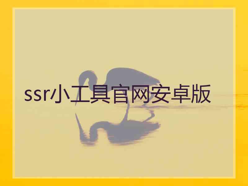 ssr小工具官网安卓版