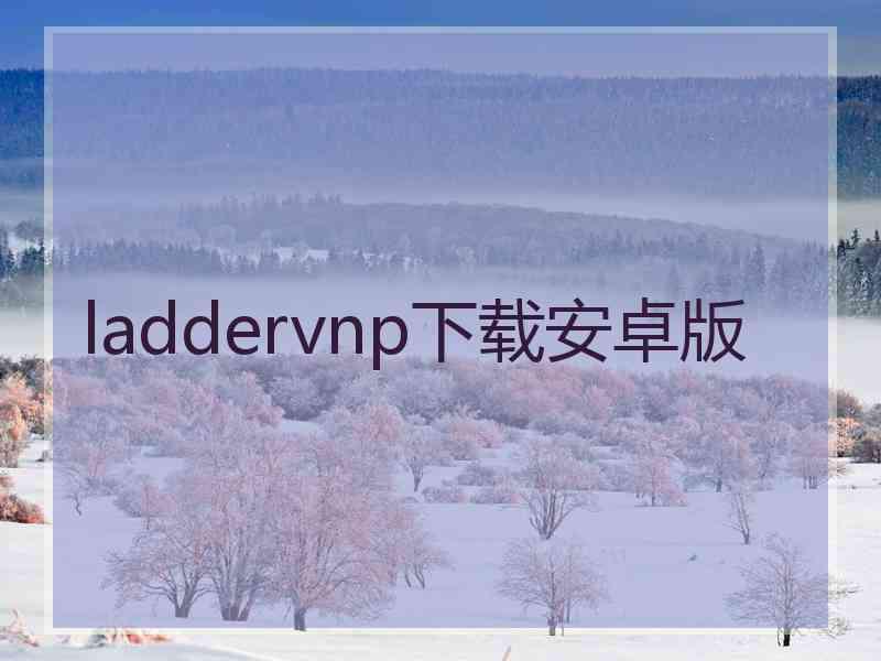 laddervnp下载安卓版