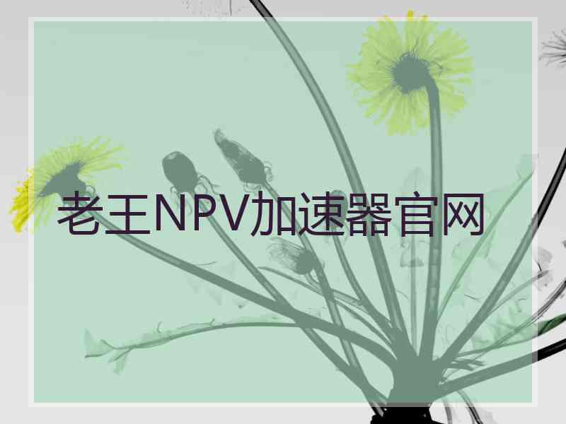 老王NPV加速器官网