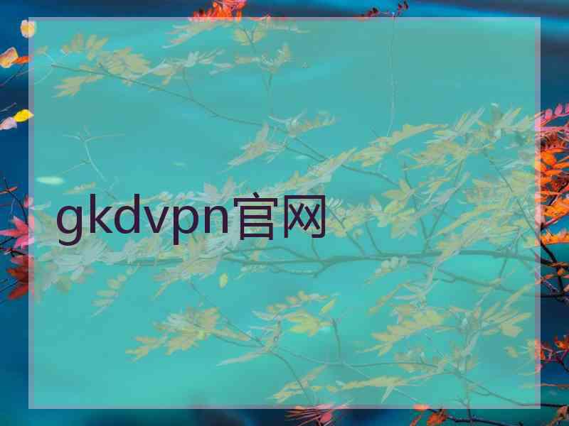 gkdvpn官网