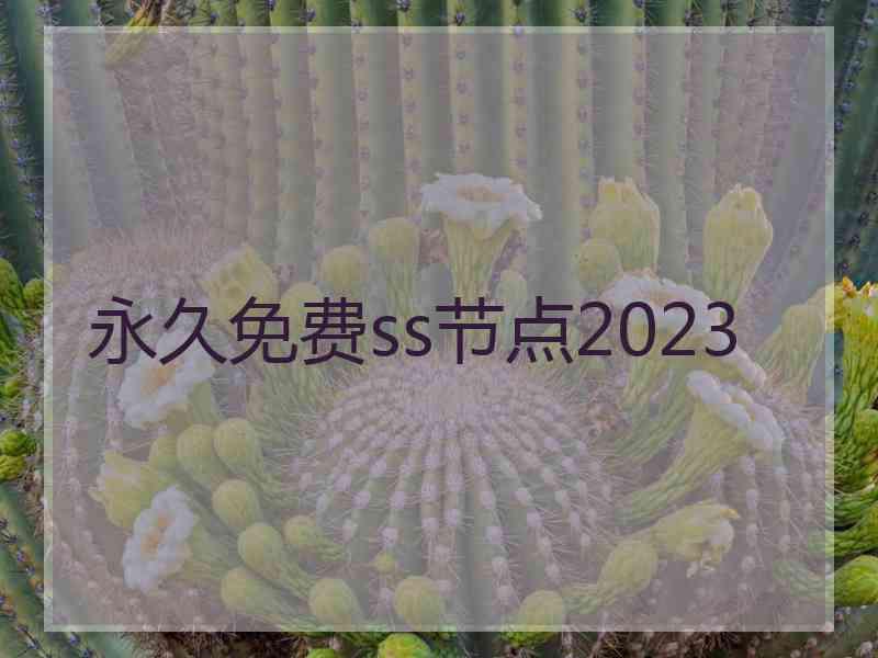 永久免费ss节点2023