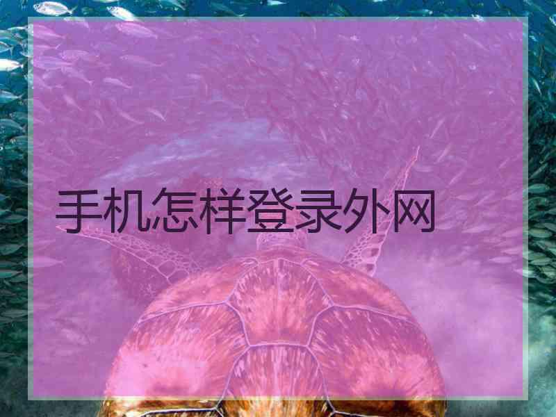 手机怎样登录外网