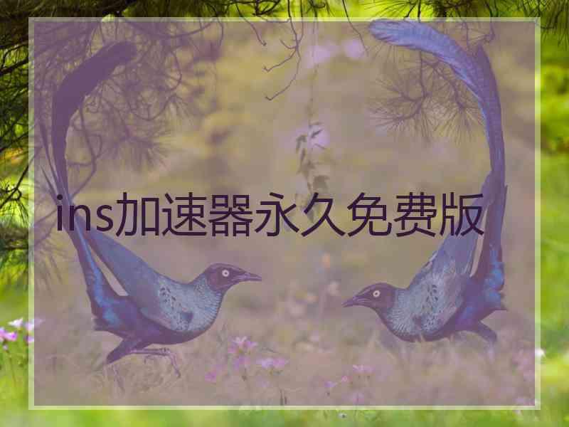 ins加速器永久免费版