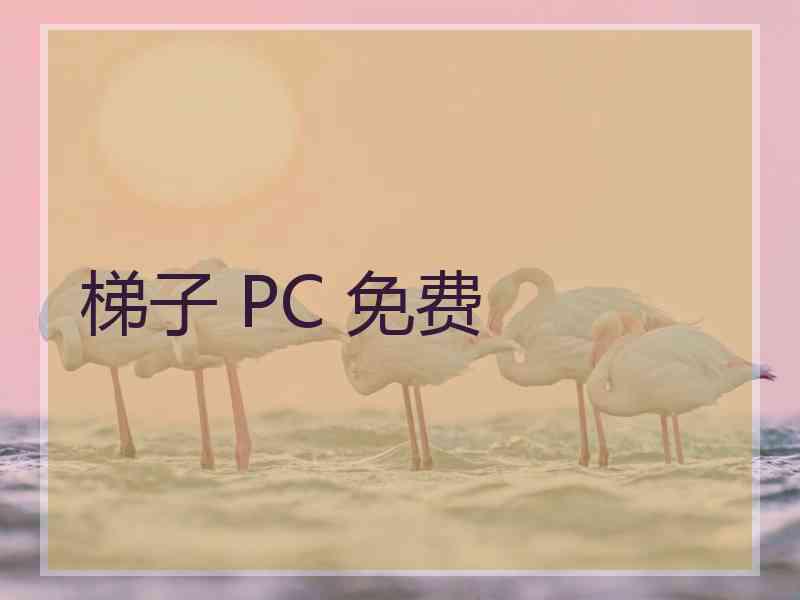 梯子 PC 免费