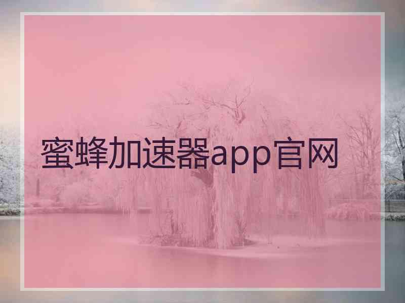 蜜蜂加速器app官网