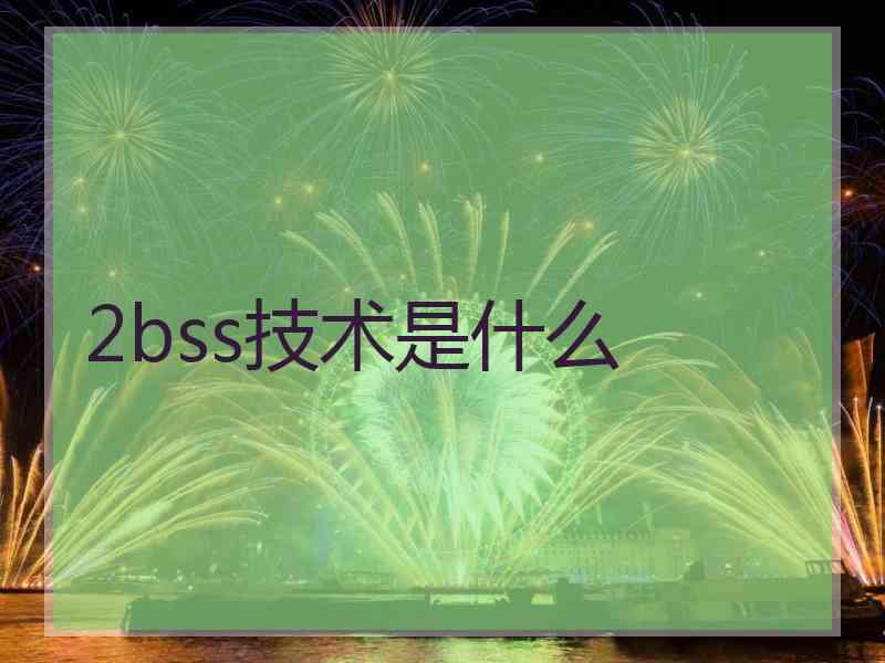 2bss技术是什么