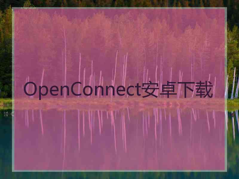 OpenConnect安卓下载