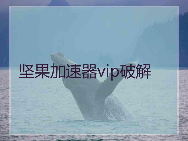 坚果加速器vip破解