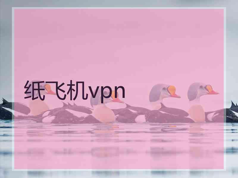 纸飞机vpn