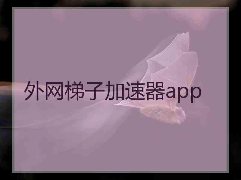 外网梯子加速器app