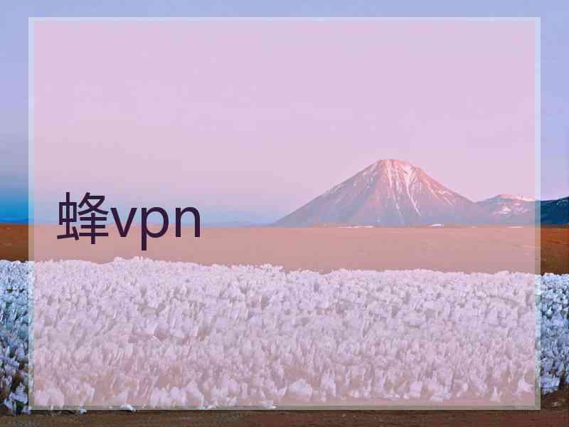 蜂vpn