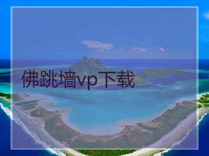 佛跳墙vp下载