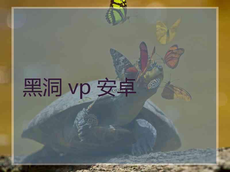 黑洞 vp 安卓