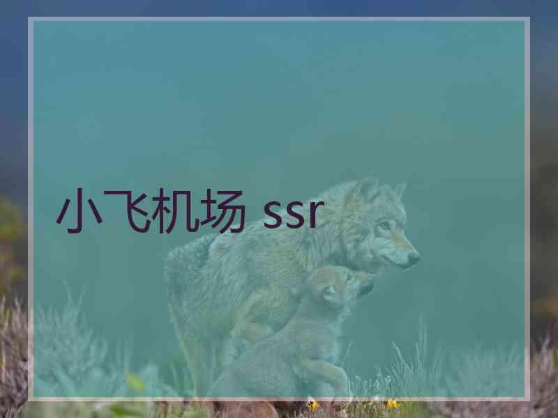 小飞机场 ssr