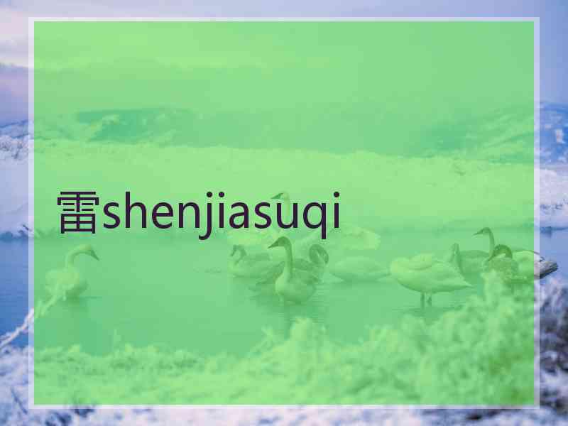 雷shenjiasuqi