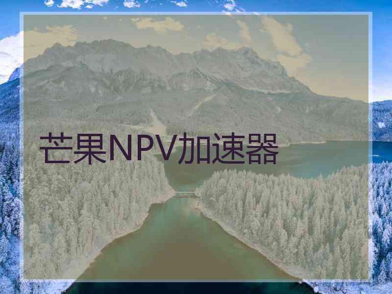 芒果NPV加速器