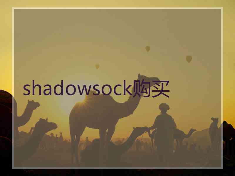 shadowsock购买