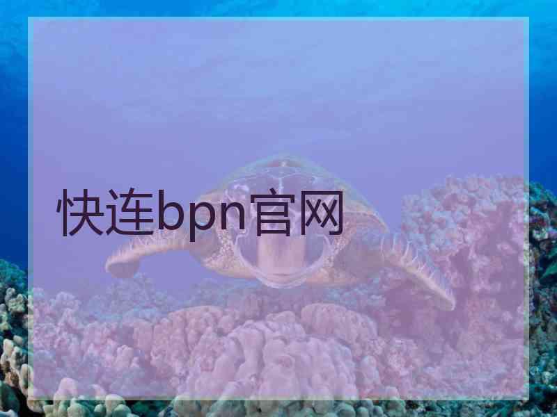 快连bpn官网