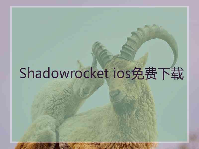 Shadowrocket ios免费下载