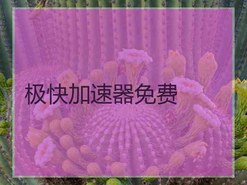 极快加速器免费