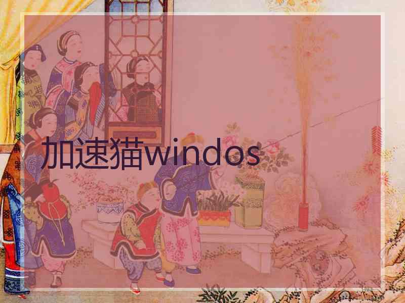 加速猫windos